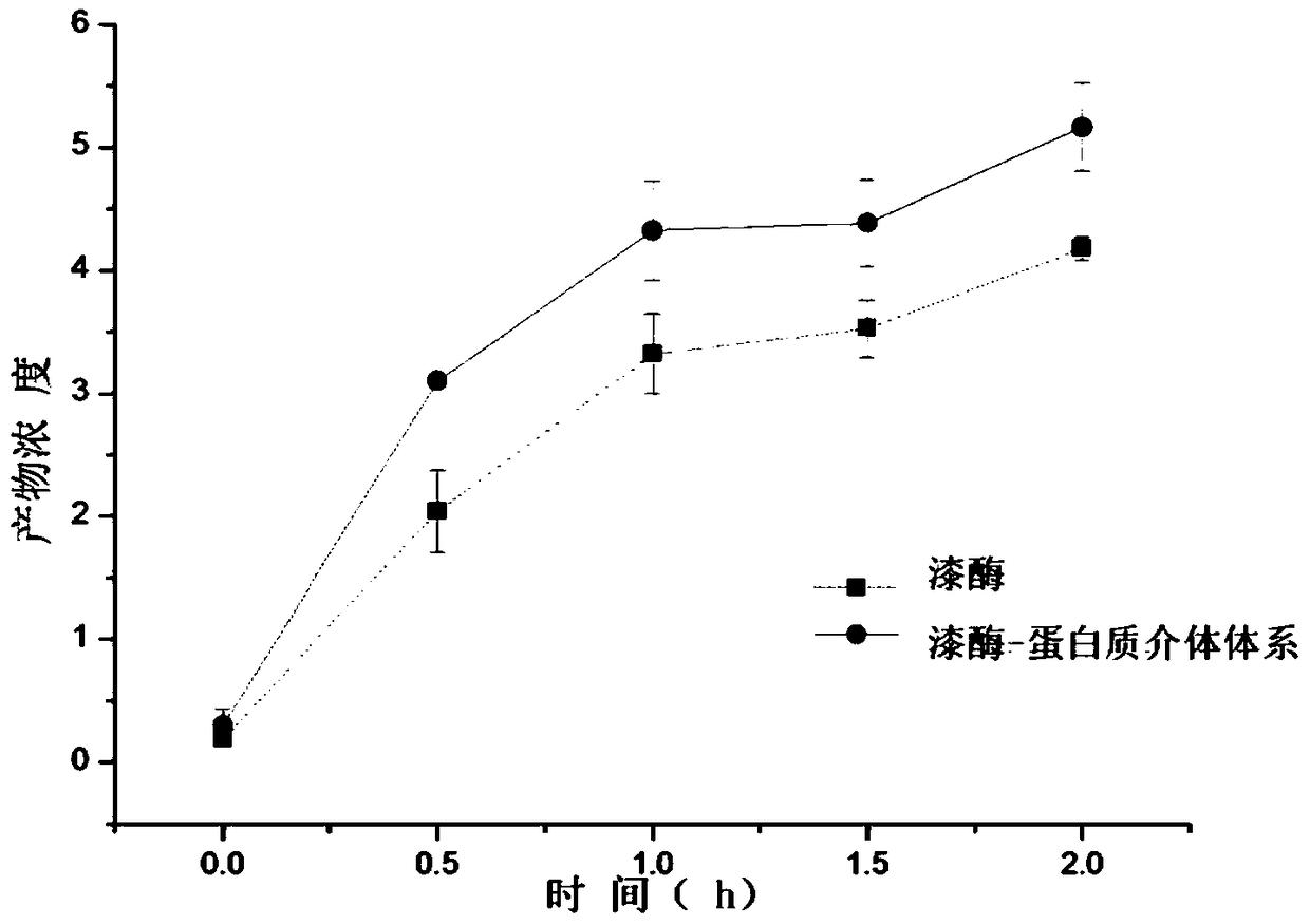 Method for treating water pollutants with immobilized laccase based on protein mediator