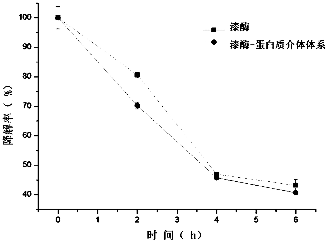 Method for treating water pollutants with immobilized laccase based on protein mediator