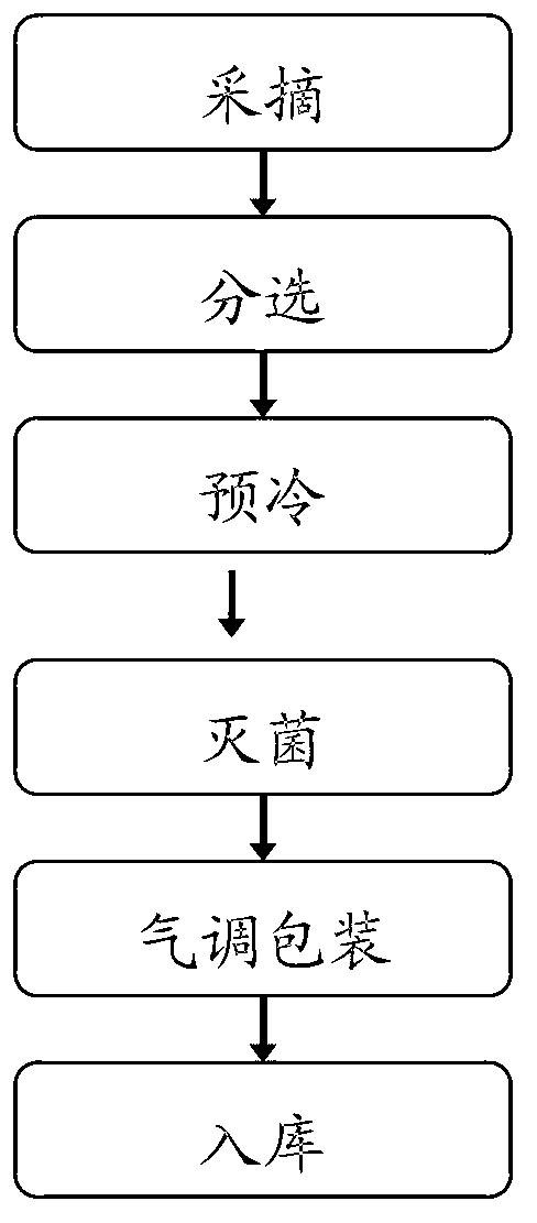 Modified atmosphere preservation method of baby cabbage