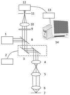 Tumor microvascular imaging instrument and tumor microvascular imaging method