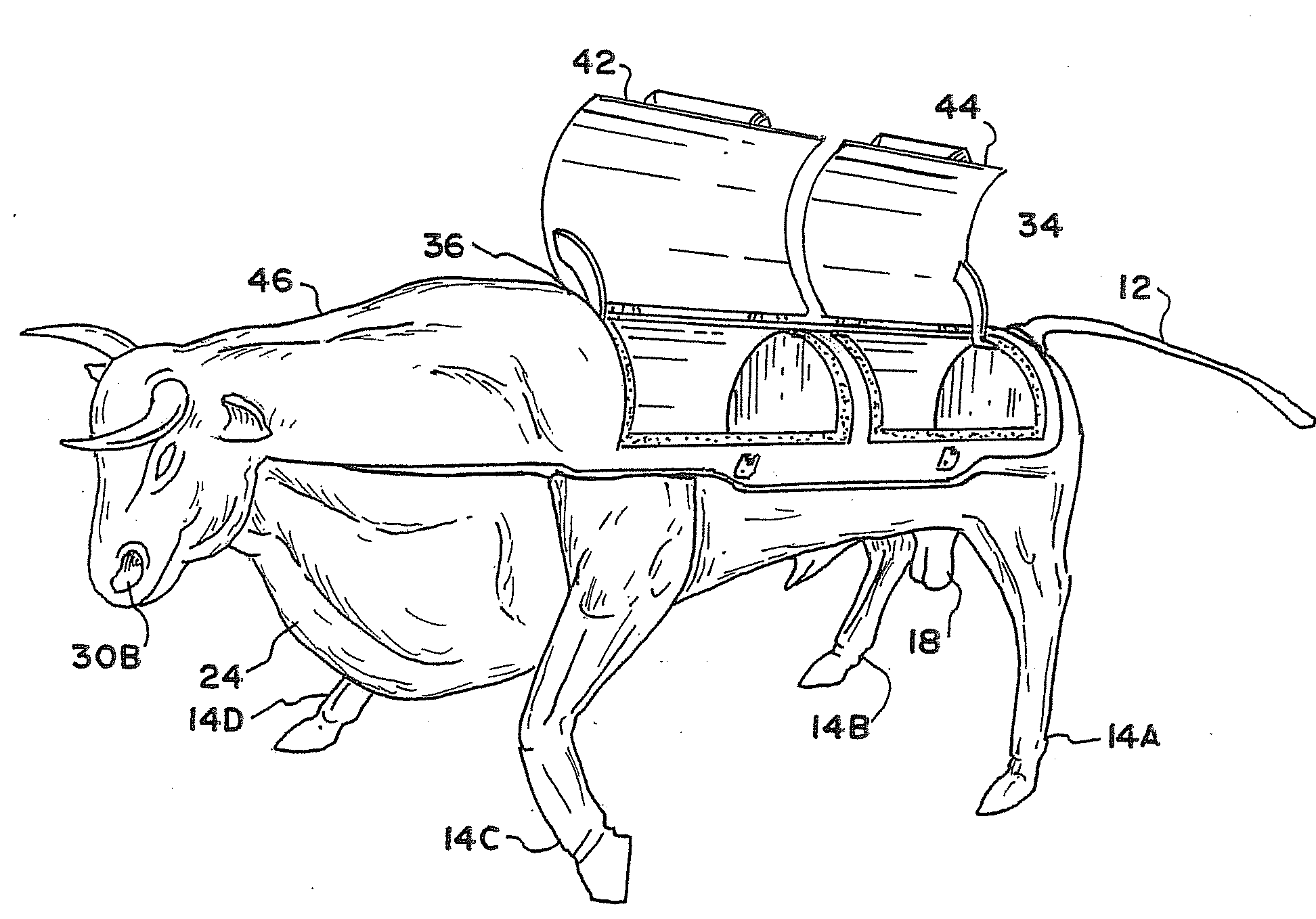 Meat treatment apparatus and method