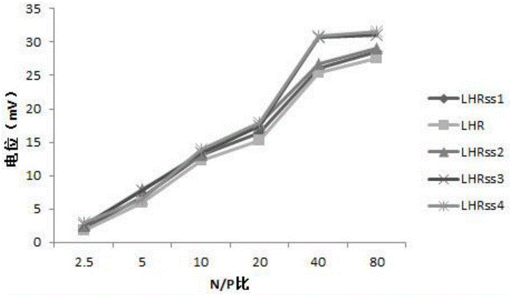 Lipoic-acid-modified nanometer polypeptide carrier and preparation method and application thereof