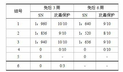 Neglect-proof drinking immunization tablet for infectious bursal disease (IBD) and preparation method thereof