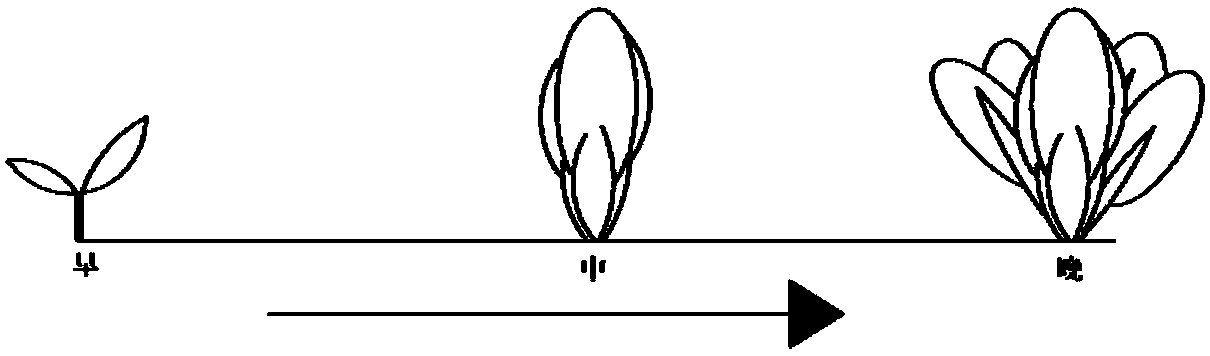 Greenhouse crop three-dimensional shape monitoring device based on depth camera and monitoring method thereof