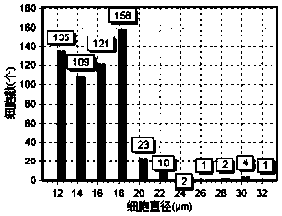 Cell suspension for repairing striae gravidarum and preparation method of cell suspension for repairing striae gravidarum