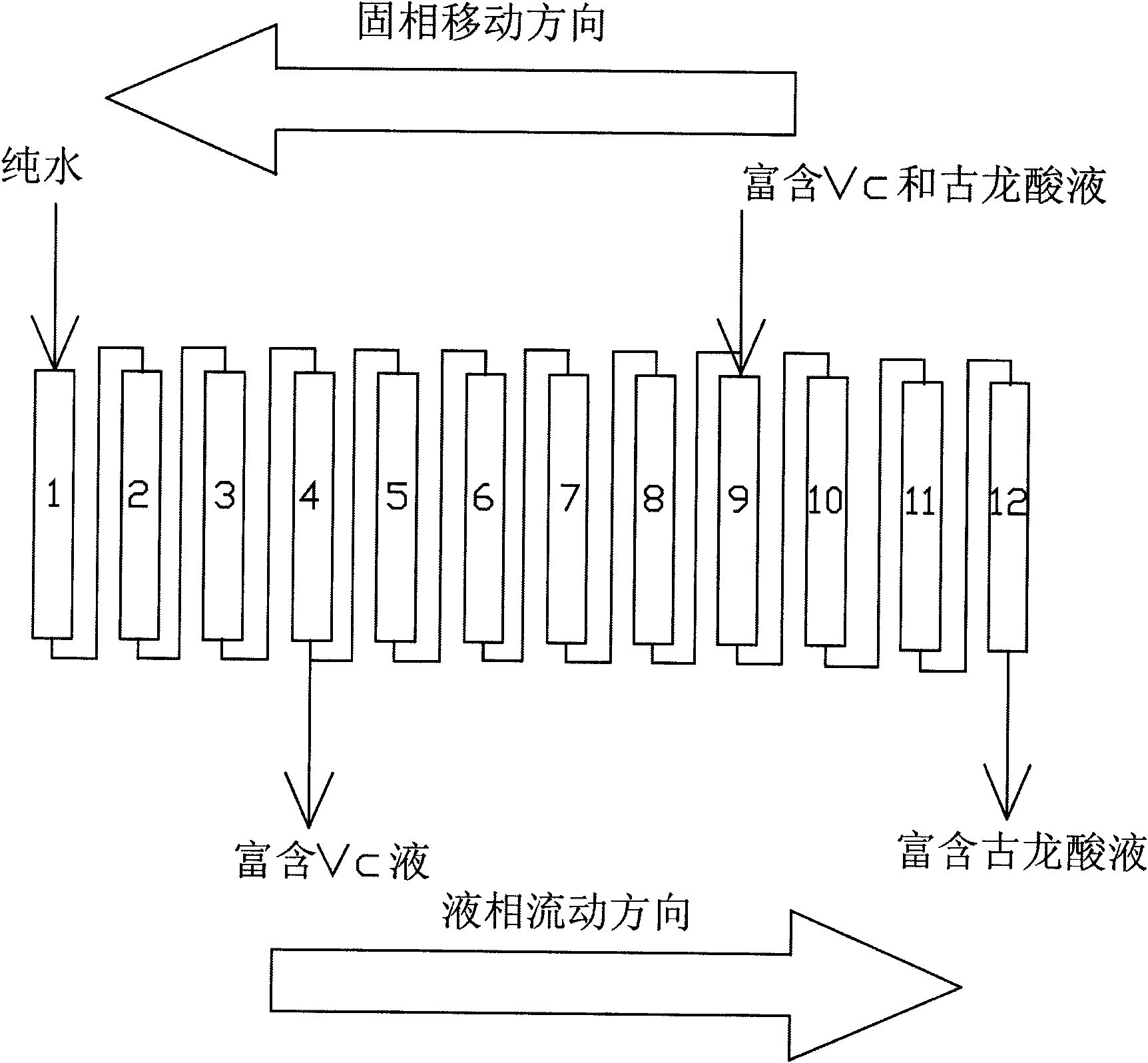 Method for separating solution rich in gulonic acid and vitamin C by ion exclusion chromatography