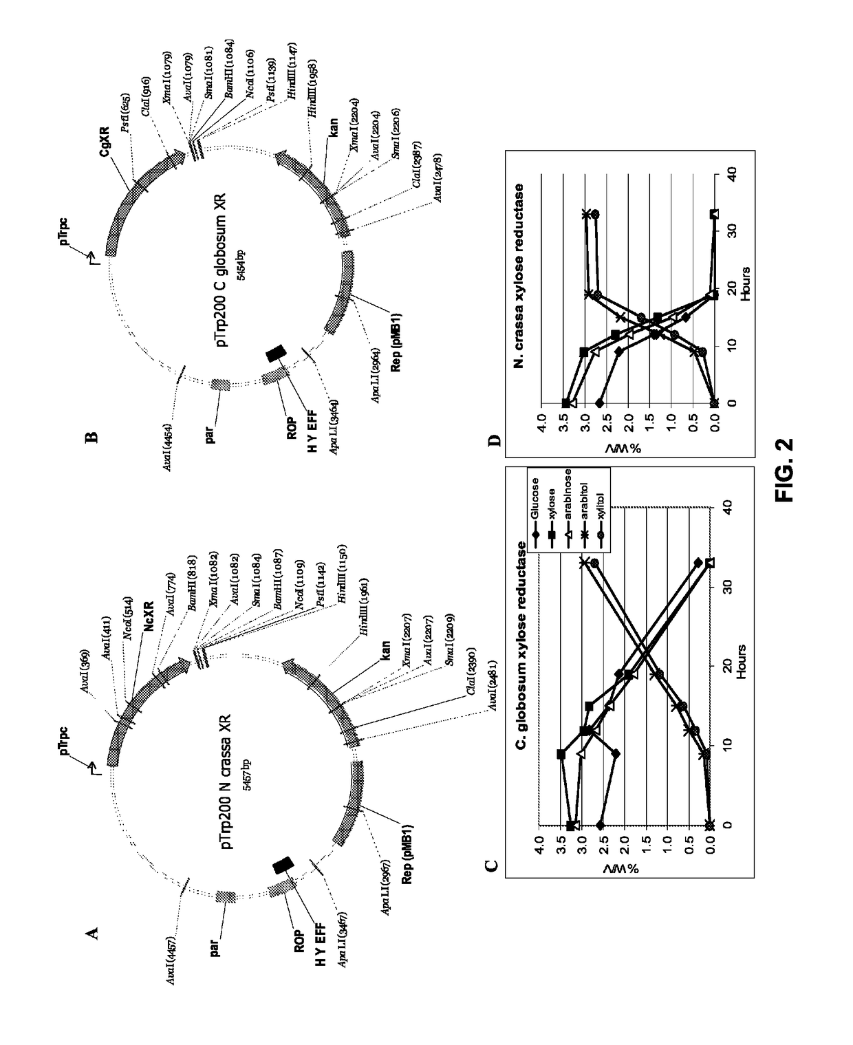 Production of xylitol from a mixture of hemicellulosic sugars