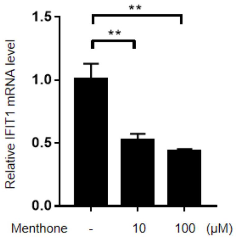 Application of menthone to preparation of medicine for treating rheumatoid arthritis