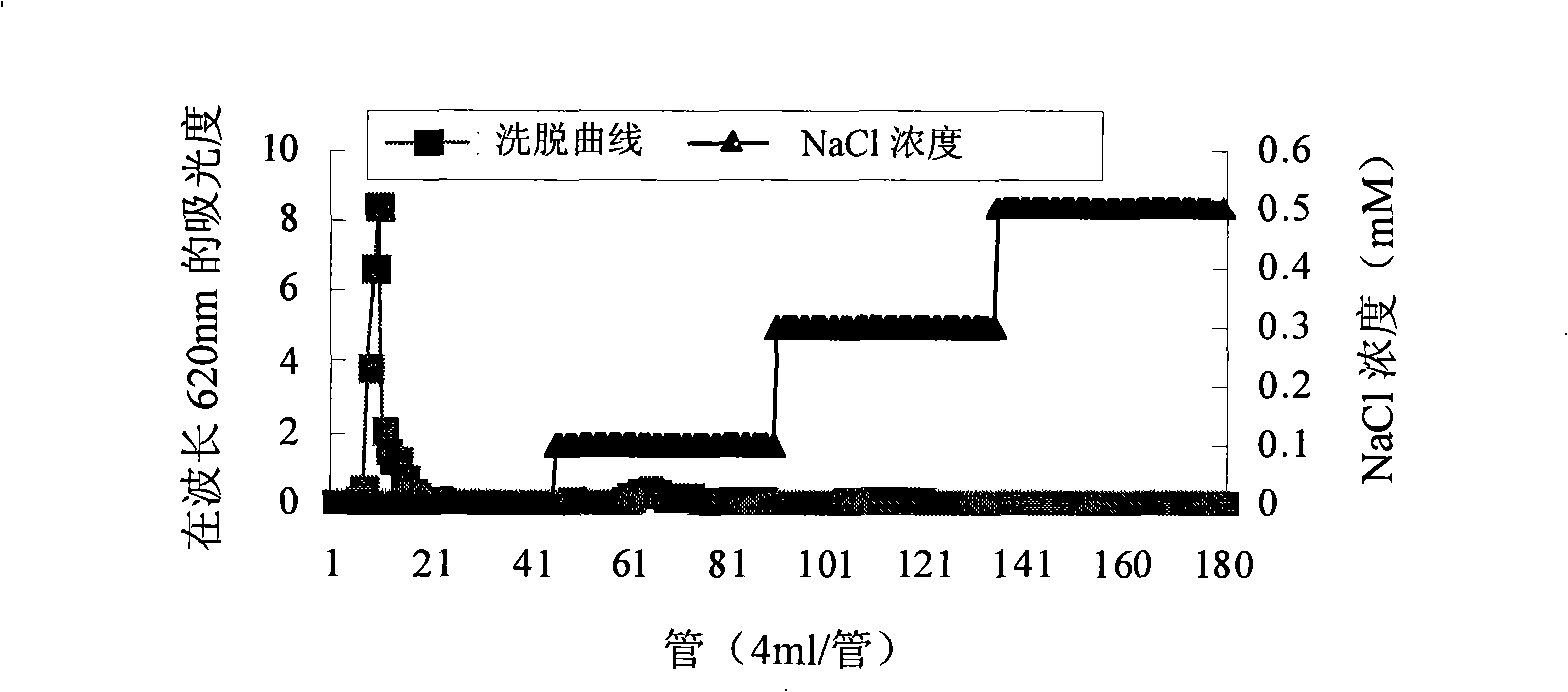 Process for abstracting mycelium polysaccharide by cordyceps fermentation