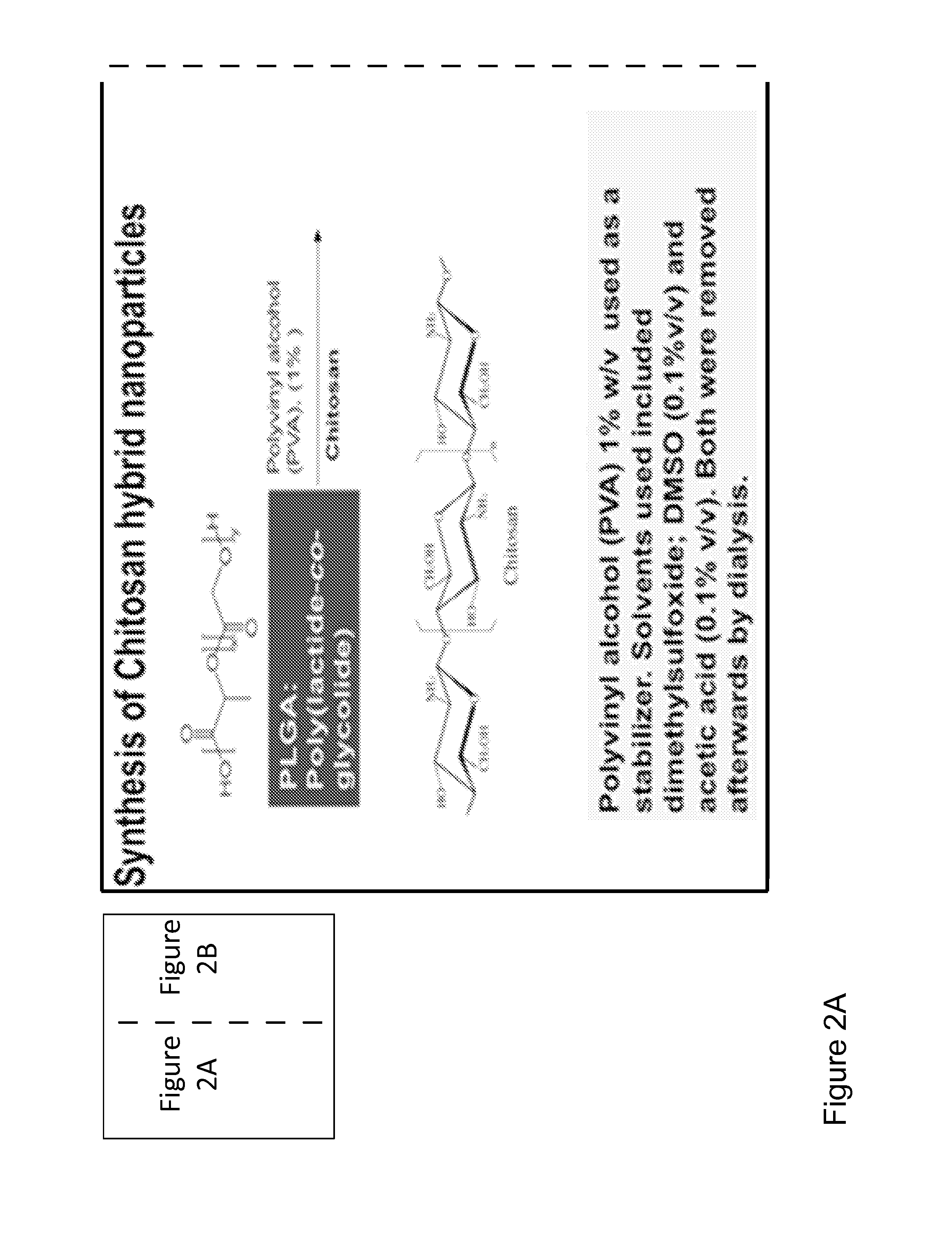 Novel hemostatic patch and uses thereof