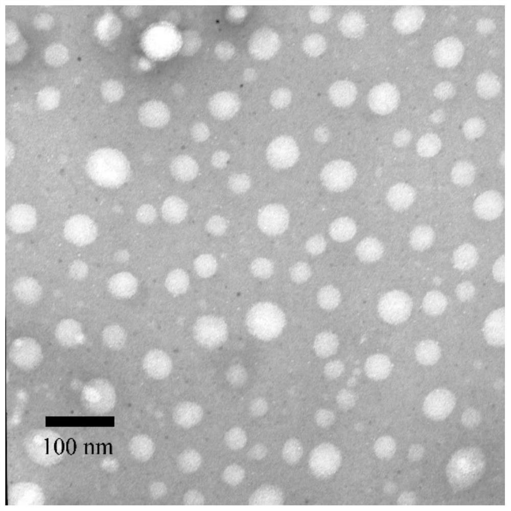 Polymer drug carrier with aggregation-induced luminescence and dual sensitivity, drug-loaded micelles and preparation method thereof