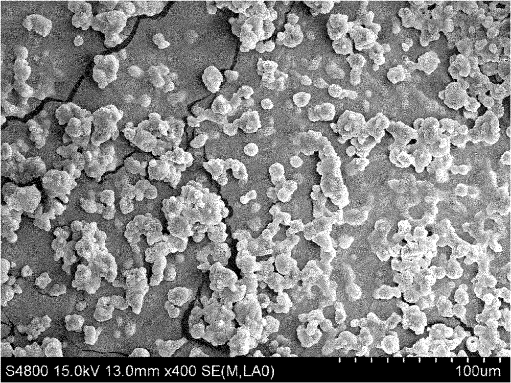 Preparation method for microencapsulated oral live vaccine of gosling plague