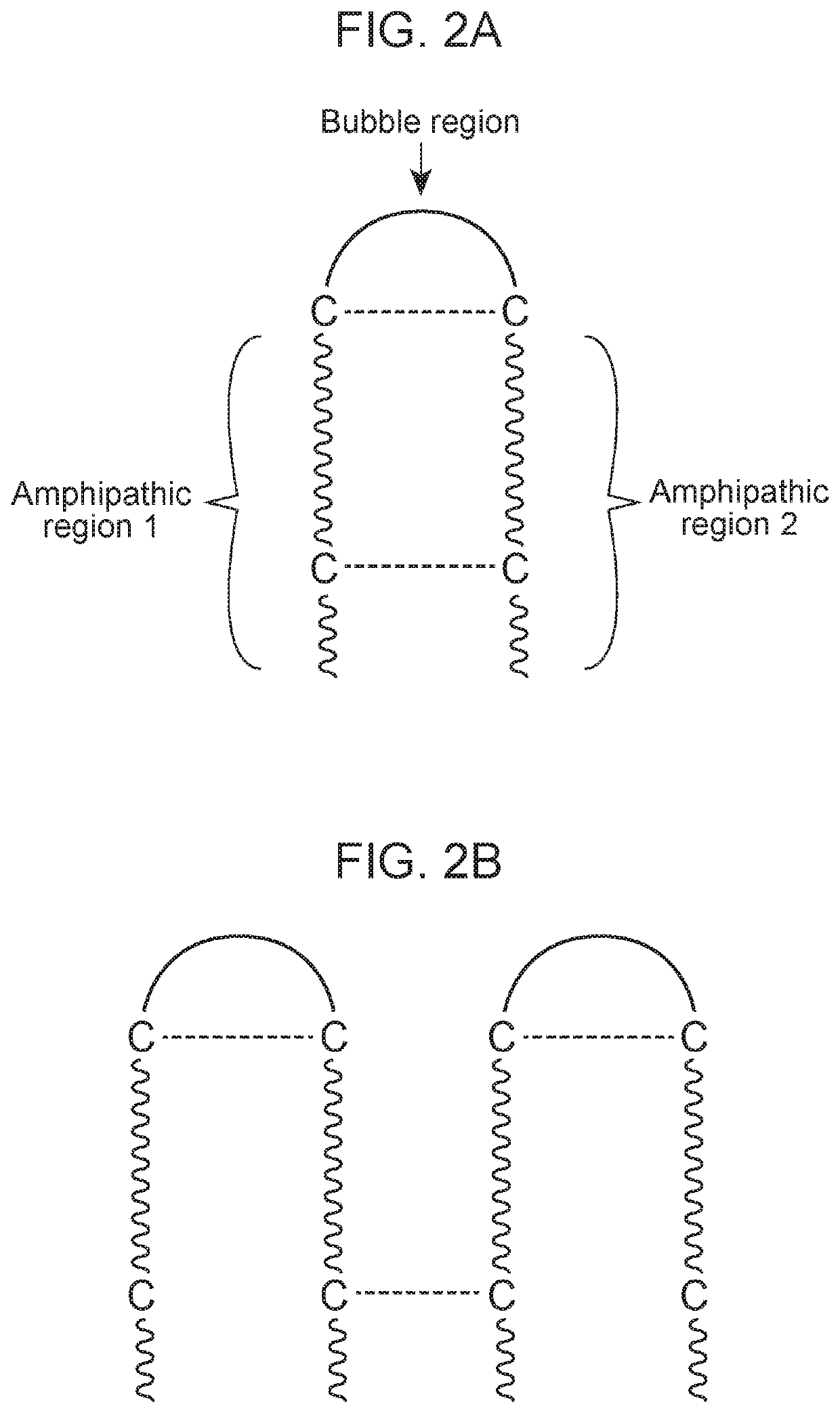 Antimicrobial peptides and methods of using the same