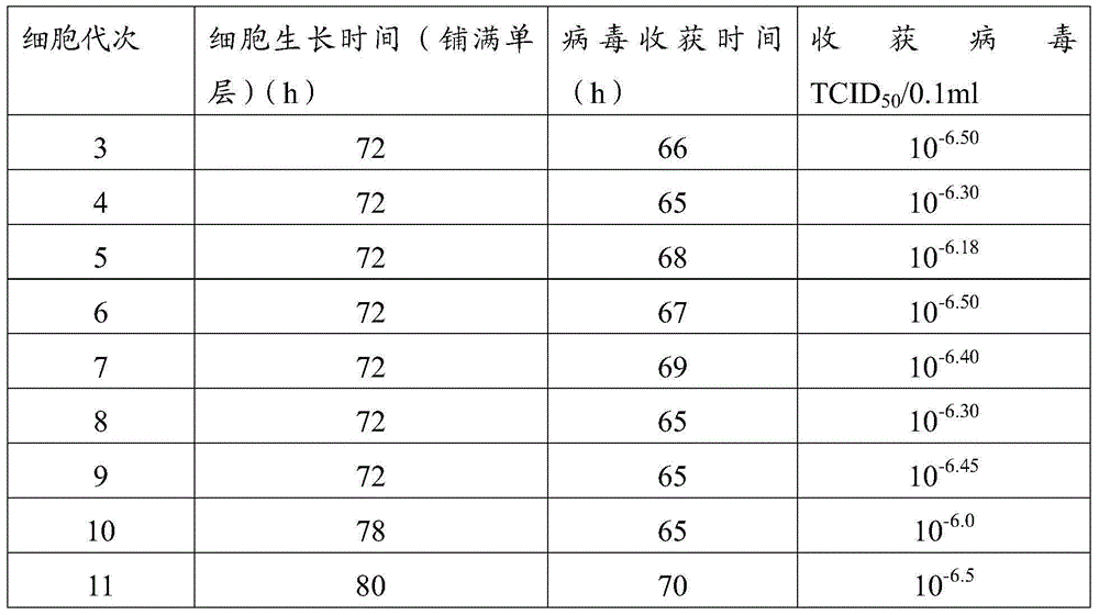 Cell line used for separation culture and multiplication of Orf virus (ORFV) as well as preparation method and application of cell line