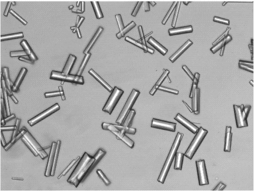 Washing method of insulin detemir crystal