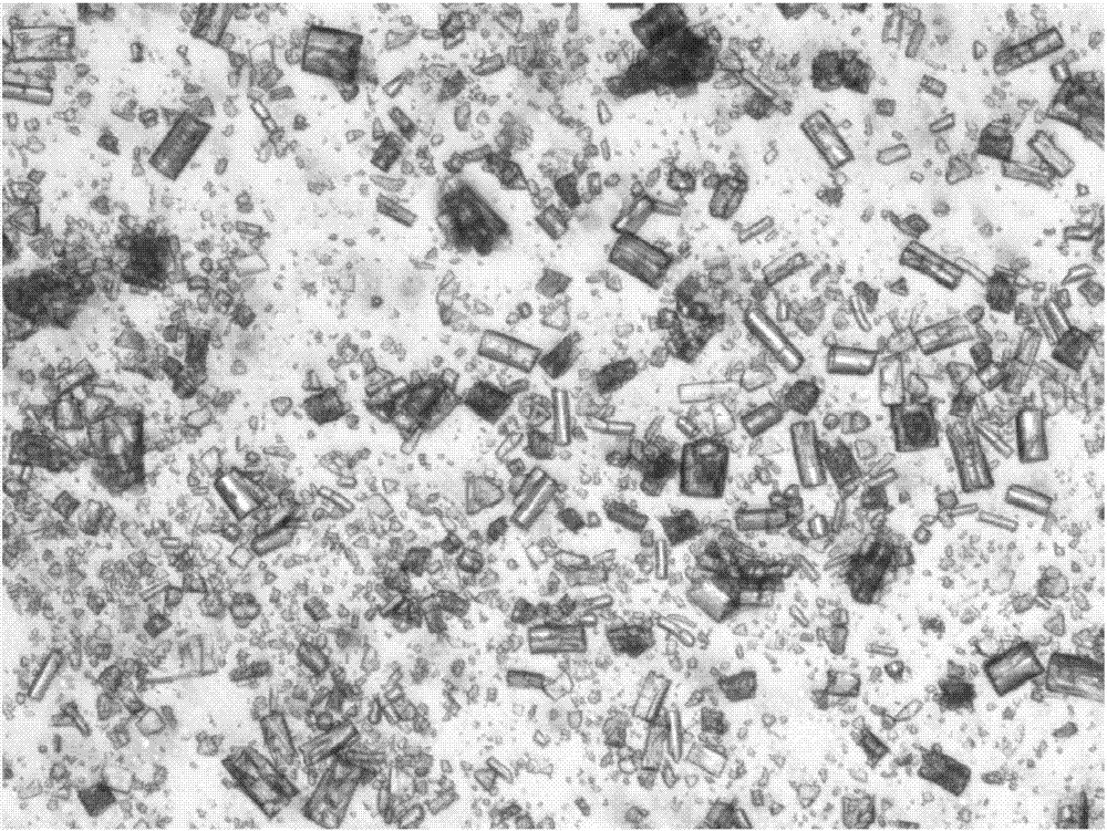 Washing method of insulin detemir crystal