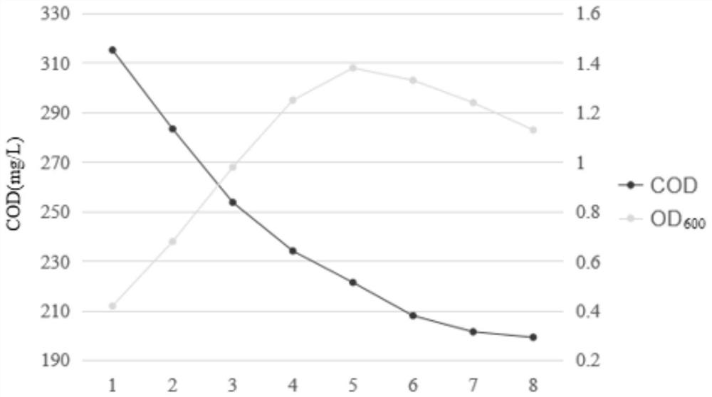 A marine sediment-derived lignin-degrading bacteria and its application in degrading lignin