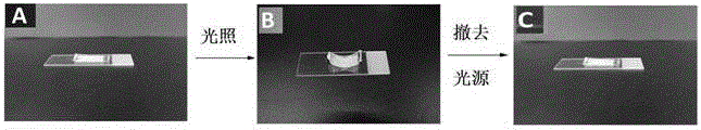 Photothermally-induced shape memory composite and preparation method thereof