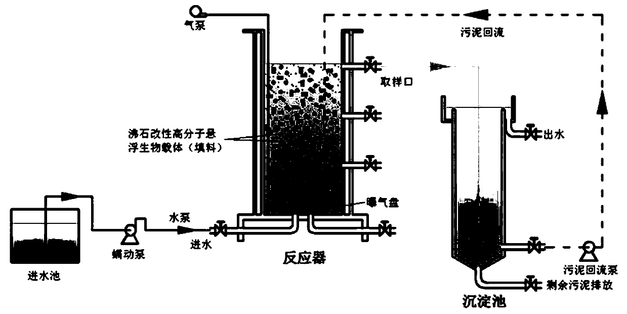 Zeolite modified macromolecule suspension biological carrier based wastewater reinforcement and nitrification process