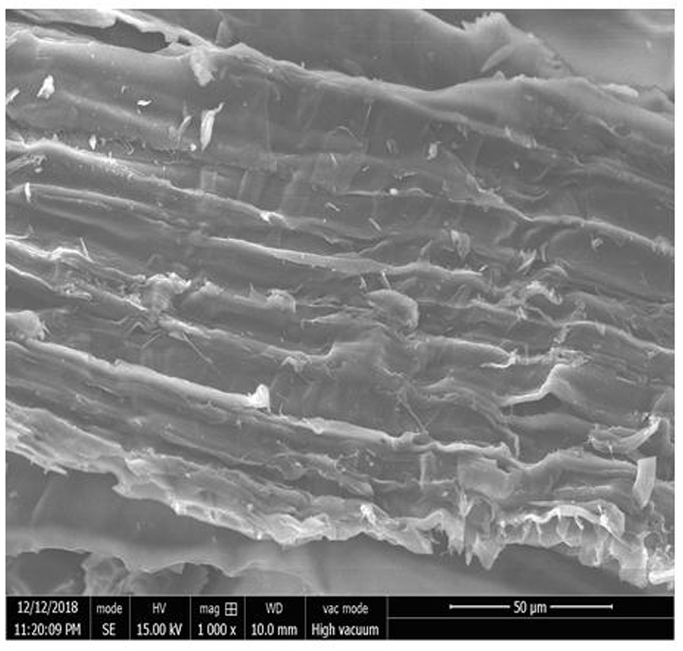 A kind of preparation method and application of biomass activated semi-coke catalyst