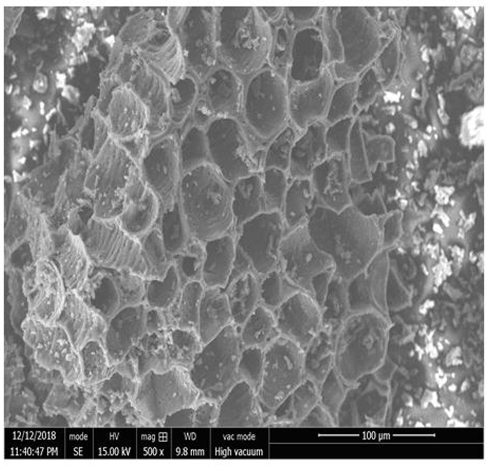 A kind of preparation method and application of biomass activated semi-coke catalyst