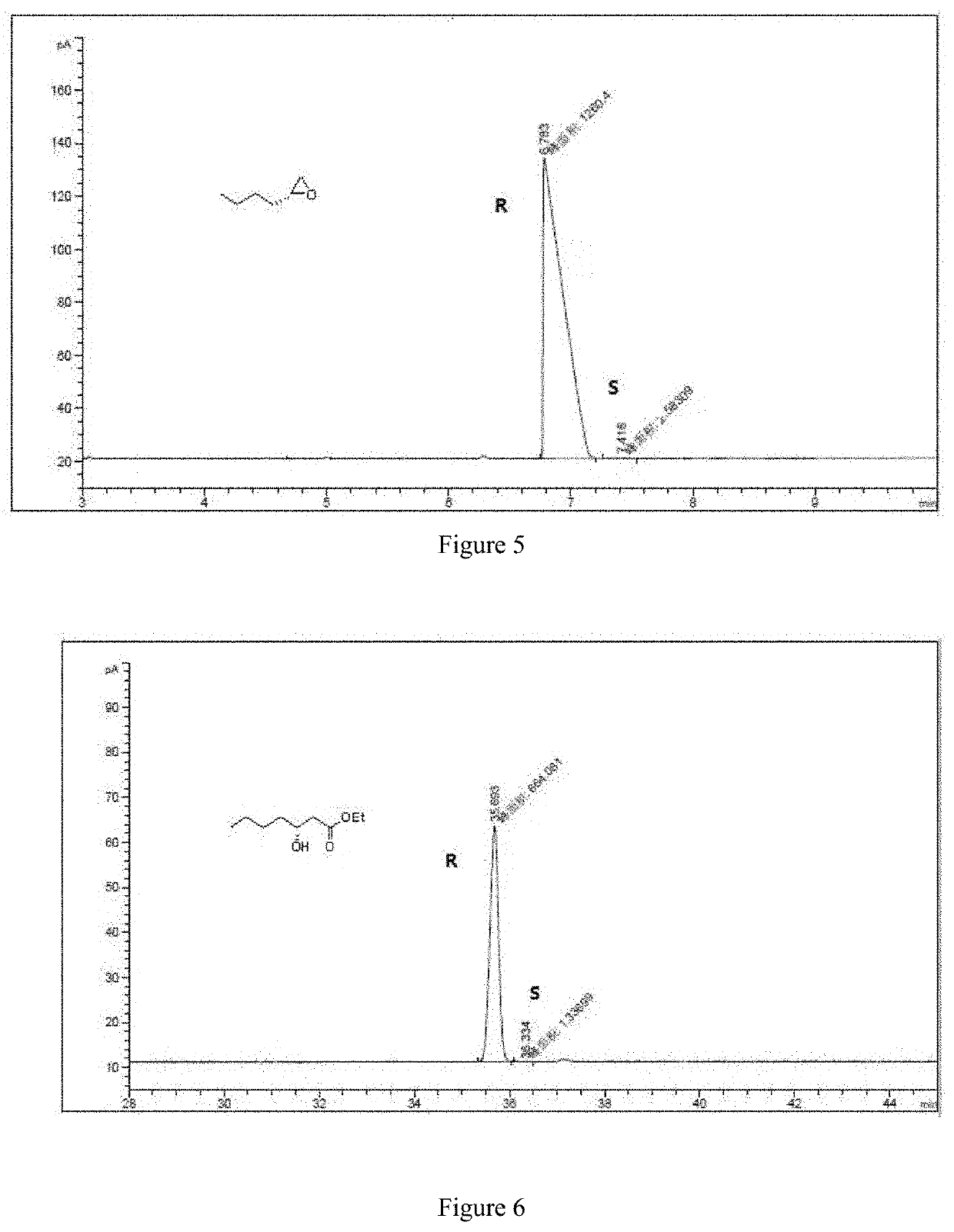 Method for preparing a &#946; -hydroxycarboxylic acid ester