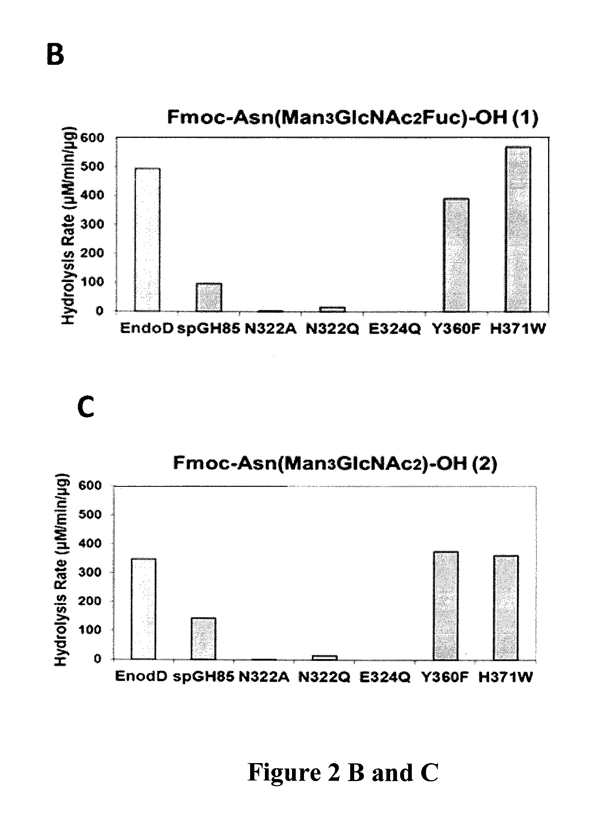 Transglycosylation activity of glycosynthase mutants of an endo-beta-N-acetylglucosaminidase (endo-D) from streptococcus pneumoniae