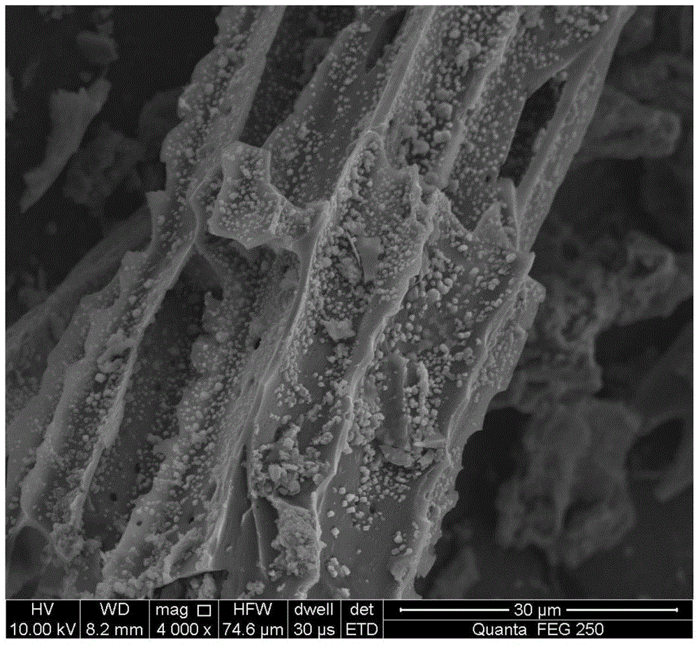 Mg/Al hydrotalcite modified charcoal composite material and preparation method and application thereof