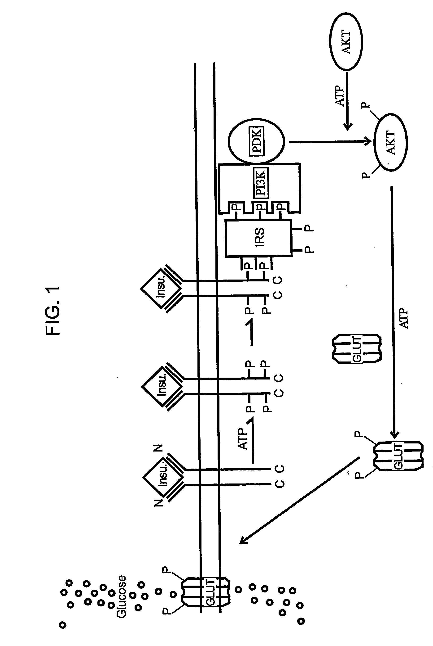 Methods of Treating Tnf-Mediated Disorders