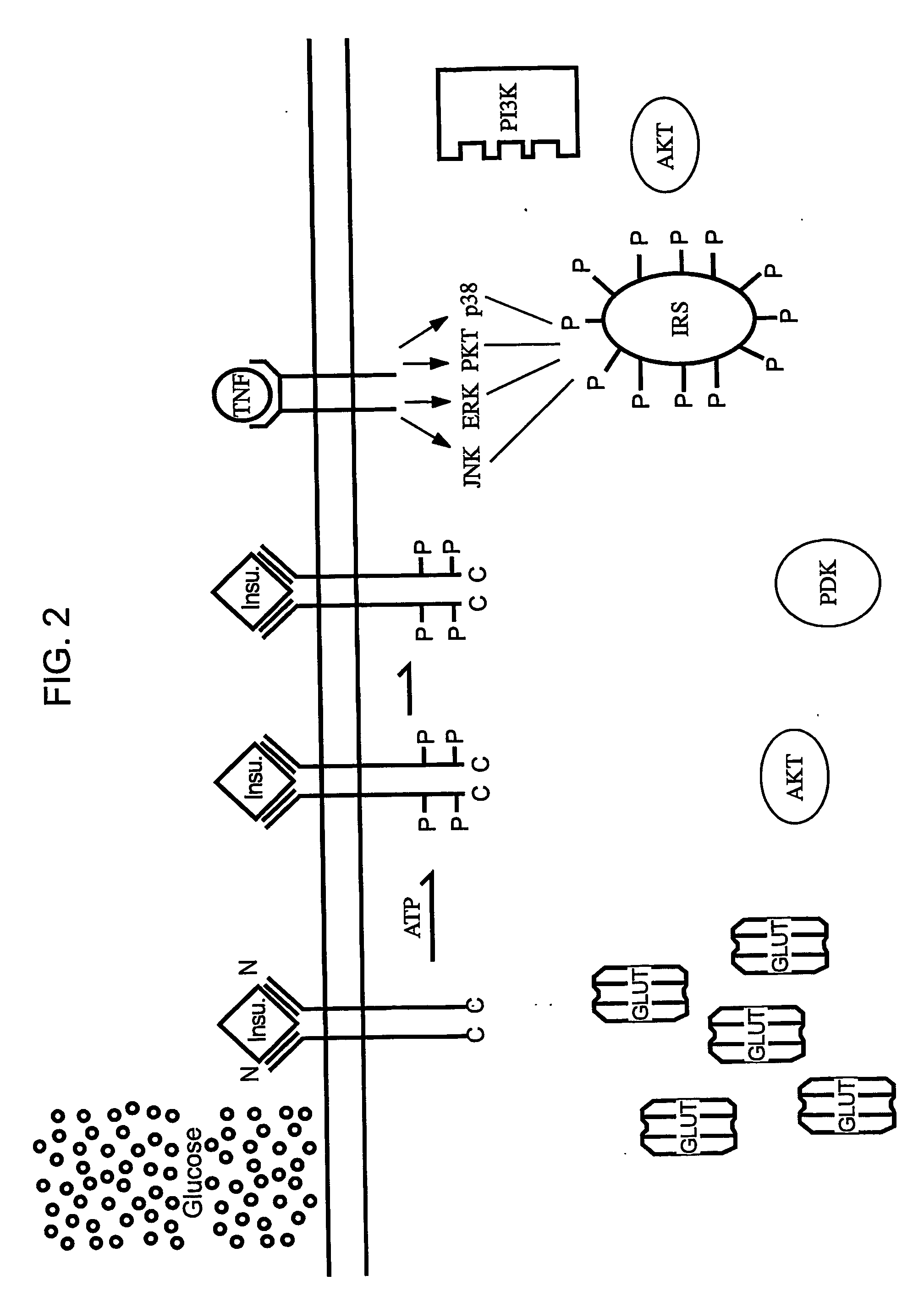 Methods of Treating Tnf-Mediated Disorders