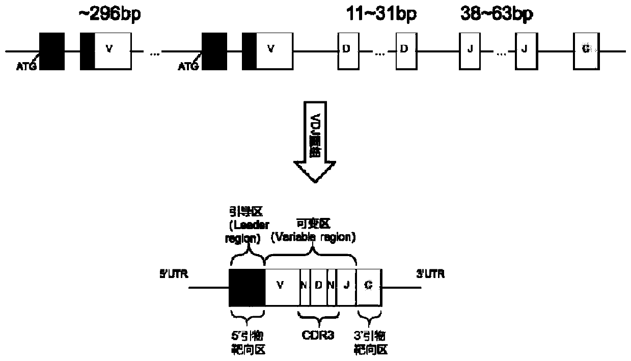 Immunological group library method for discriminating self-cross-reaction of independent sample