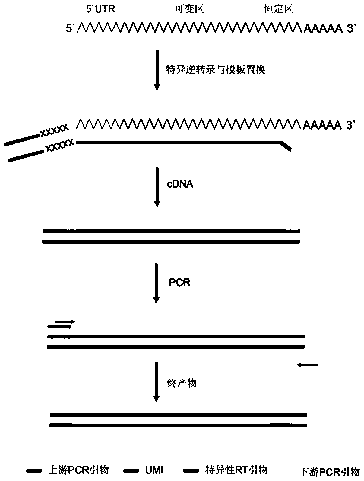 Immunological group library method for discriminating self-cross-reaction of independent sample