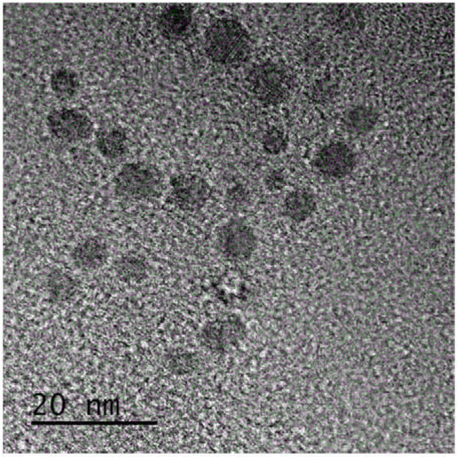 Preparation method and application of electropositive polymer fluorescent carbon quantum dots with gene vector function