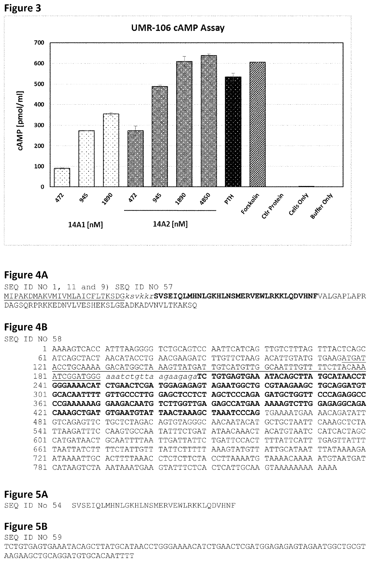 Parathyroid hormone fusion polypeptide