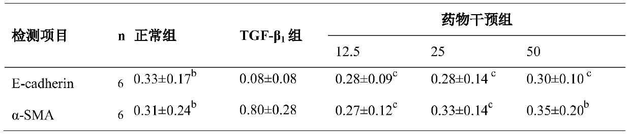 A Pulsatilla extract and its application in the preparation of medicines for preventing and treating pulmonary fibrosis