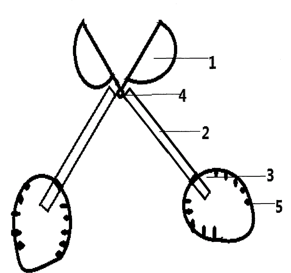 Agricultural silkworm breeding mulberry leaf picking mechanical clamp