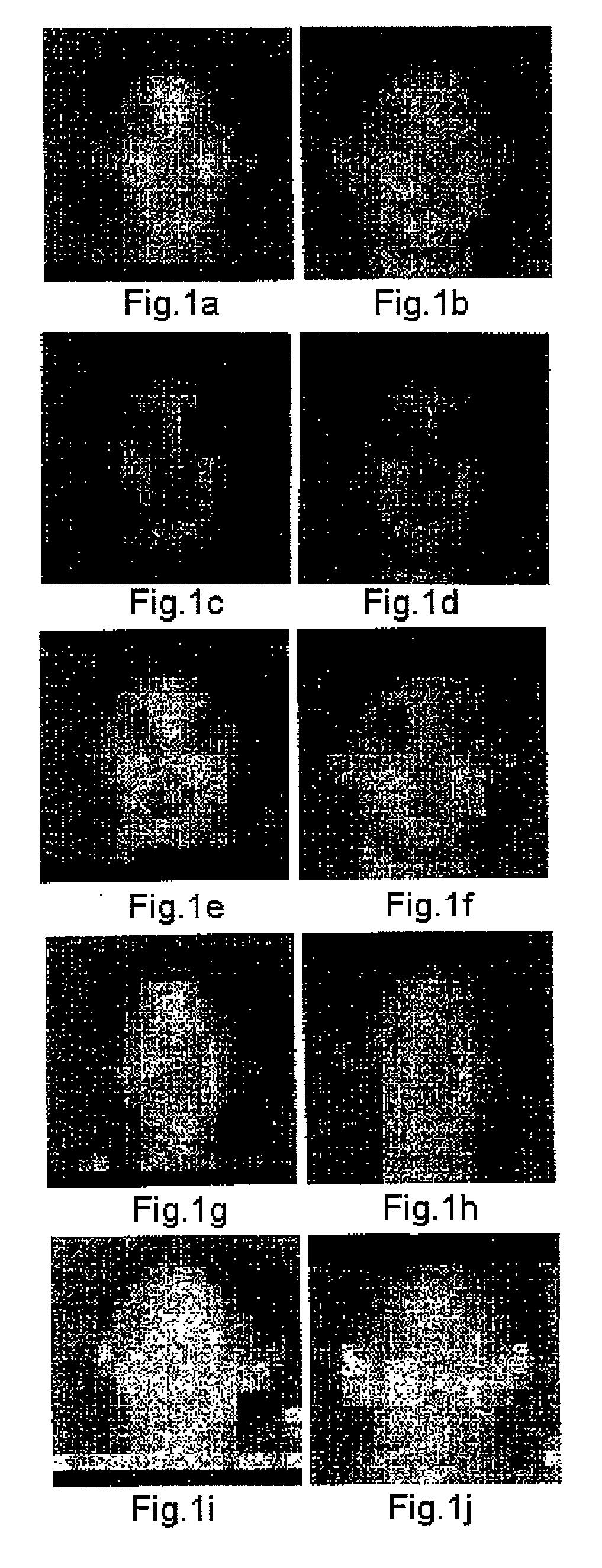 Image-effect method and image interpolation method