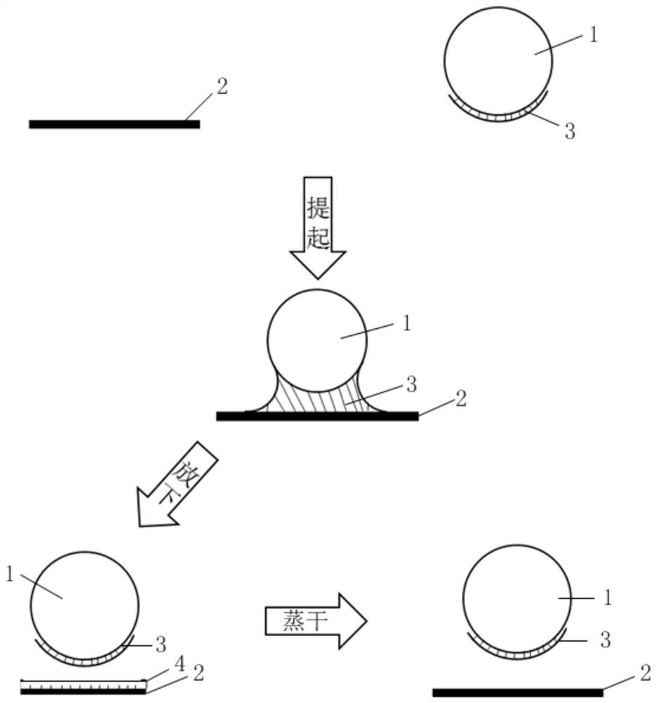 Transfer printing method and transfer head based on liquid capillary force and surface tension