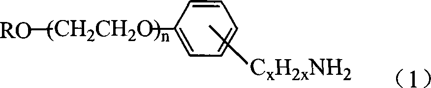 Self-emulsifying aqueous epoxide resin paint and method for producing the same