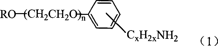 Self-emulsifying aqueous epoxide resin paint and method for producing the same