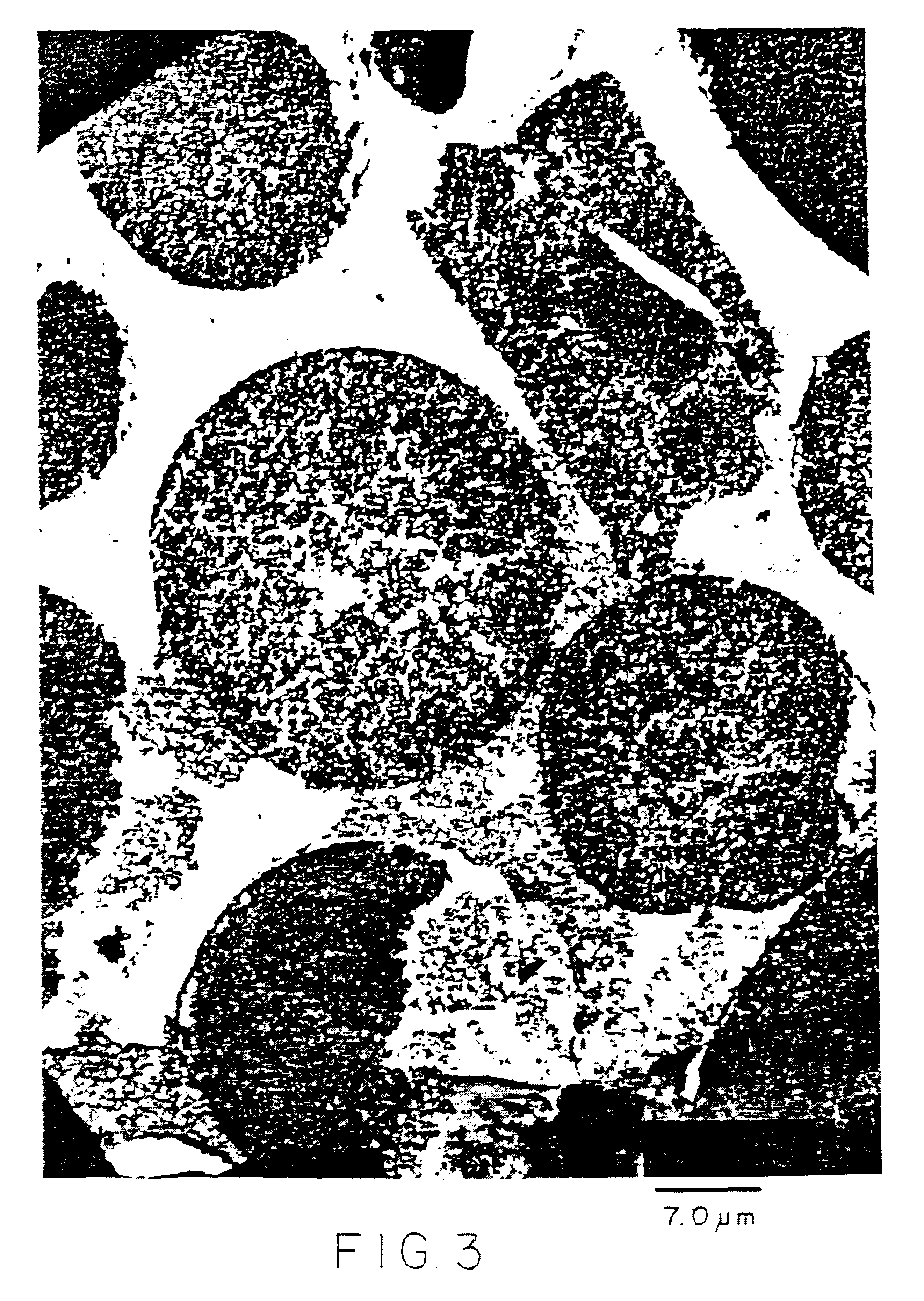 Surface supported cobalt catalysts, process utilizing these catalysts for the preparation of hydrocarbons from synthesis gas and process for the preparation of said catalysts