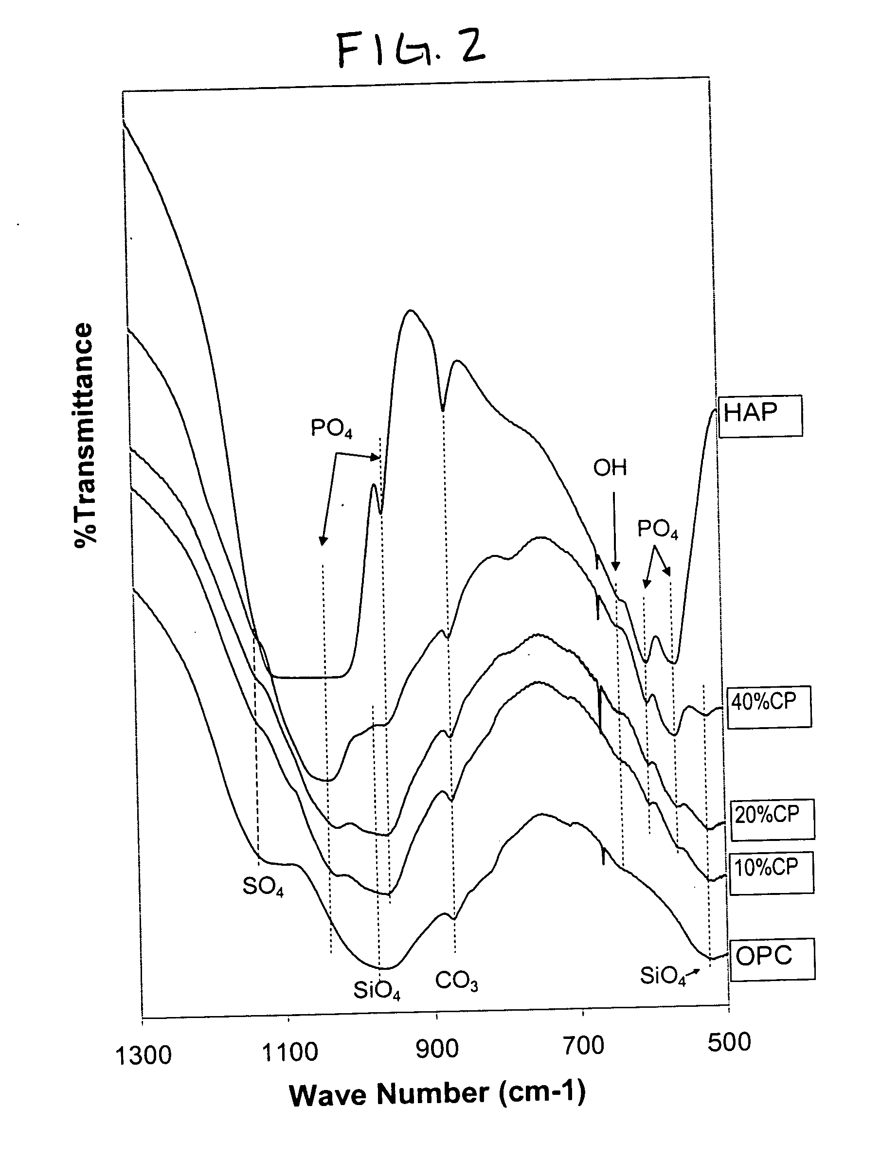 High strength biological cement composition and using the same