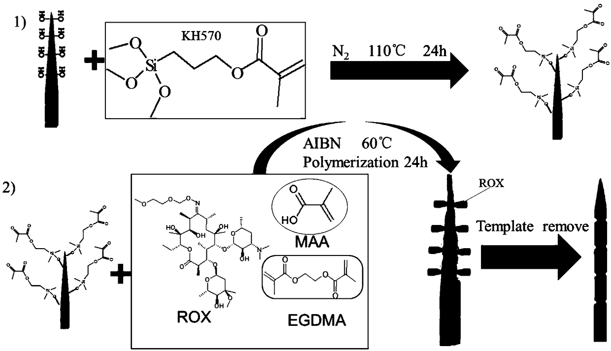 Macrolide antibiotic high-selectivity solid-phase micro-extraction probe, preparation method thereof and application of probe