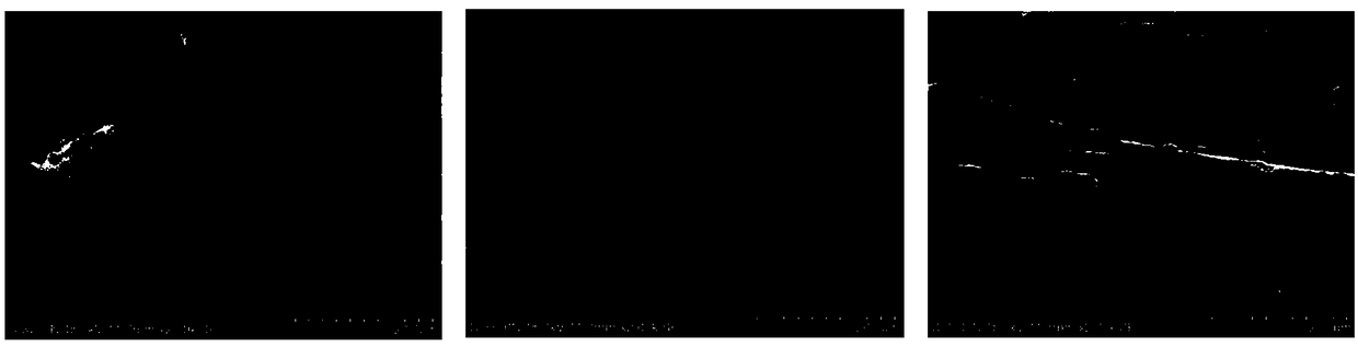 Macrolide antibiotic high-selectivity solid-phase micro-extraction probe, preparation method thereof and application of probe