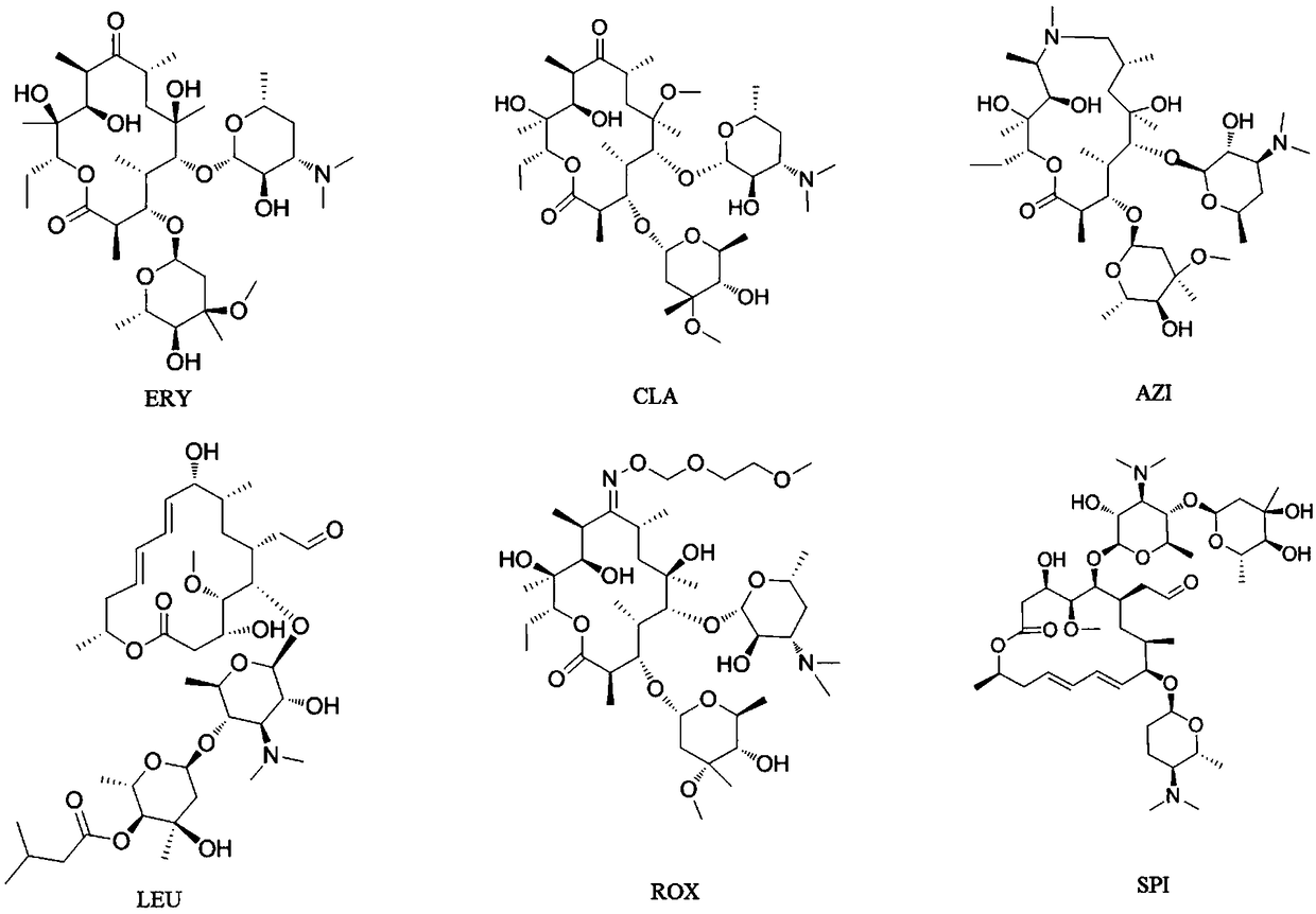 Macrolide antibiotic high-selectivity solid-phase micro-extraction probe, preparation method thereof and application of probe