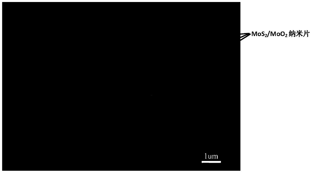 Method for preparing molybdenum disulfide/molybdenum dioxide composite material used for sodium ion negative electrode material