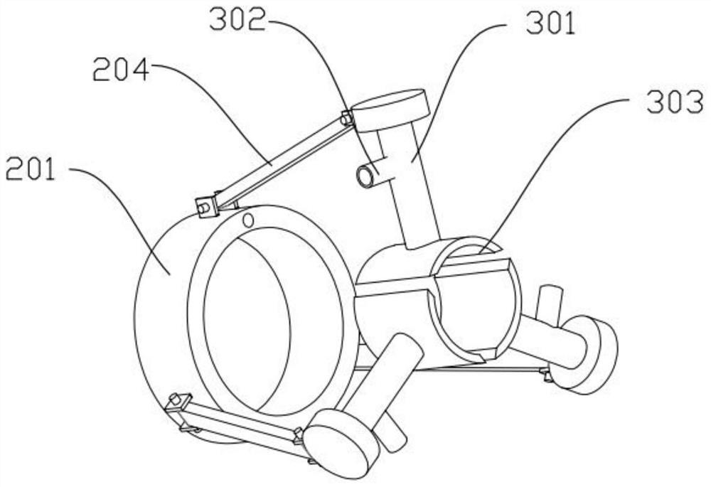 Processing method of film-coated apples