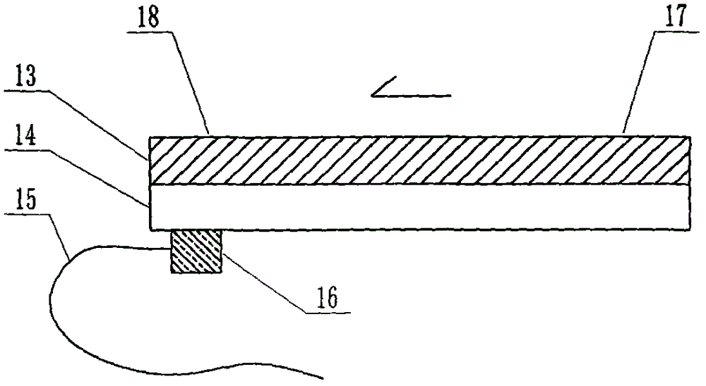 Multi-channel micro-fluidic chip device for simultaneous detection of swine flu of multiple subtypes