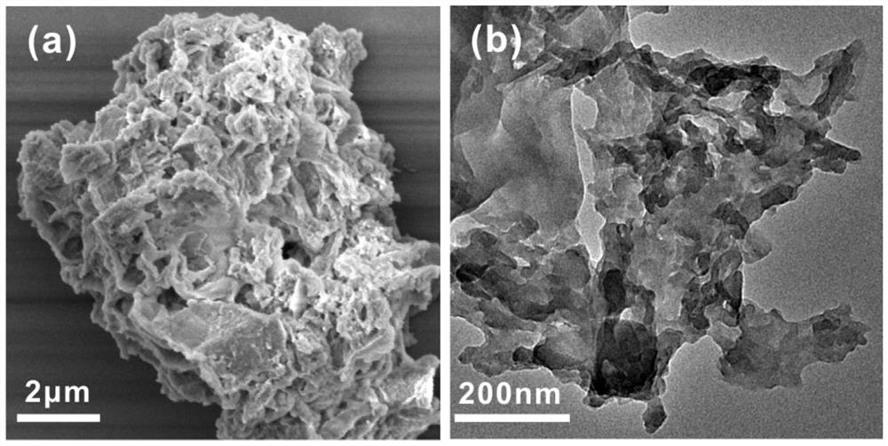 Facile Synthesis of Porous Cyclodextrin Polymers for Efficient Removal of Antibiotics in Water