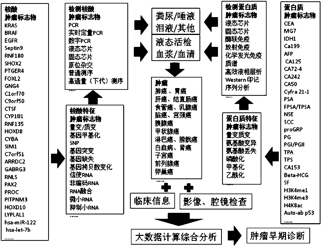 Systemic detection method of tumor marker and application thereof